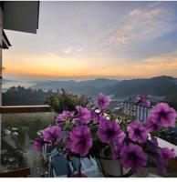 Kensington Sunrise sg, Palas Horizon,kea farm - B&B Brinchang