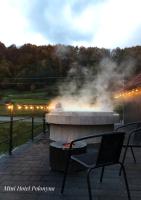 Mini Hotel Polonyna - B&B Pylypets