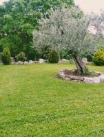 Residence San Martino Appartamento mini - B&B Busso