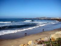 Coastal Zen Cottage - Walk To Beach - B&B Half Moon Bay