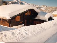Très beau chalet familial - Vue superbe ! Plein sud - Ferienwohnung La Clusaz