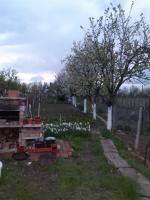 La Casa Mircea Rudicica, apartament cu doua camere - Ferienwohnung Rudicica