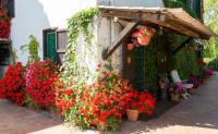 B&B Villa Sans Souci - B&B Civitavecchia