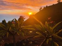 StarLust House - Largas temporadas - B&B Jedey
