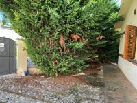 Villa Carmela - B&B