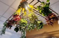 Huabing - B&B Tainan