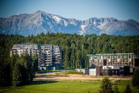 Pine Woods Apartment A27 in Silver Mountain - B&B