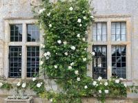 Escape to Country Manor Retreat Ash House Somerset - Ferienwohnung Martock