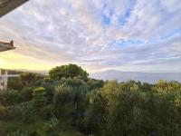 VILLA AGIA AIKATERINI - B&B Ammoudi