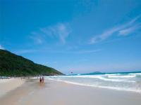 Excelente Apartamento Na Praia de Ingleses Gaivotas Pertinho do Mar - B&B Florianópolis
