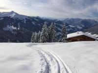 Apartment Haus Schönwies - Ferienwohnung Alpbach