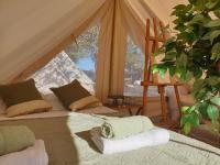 Tent (3 Volwassenen)