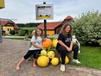 Hotel Gasthof Seeblick - B&B Zeutschach