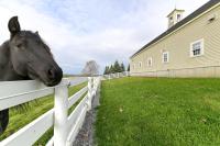 Unique Finger Lakes Converted Horse Barn w/ Patio! - Bed and Breakfast Rushville
