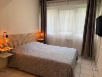 Apt Lyon Flachet - B&B Villeurbanne