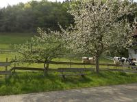 Appartement avec Vue sur la Montagne