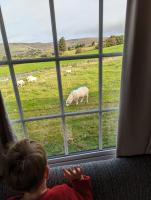 Attymchugh Lodge - B&B Corlee