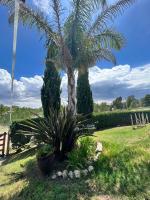 La Casa del Viejo - B&B