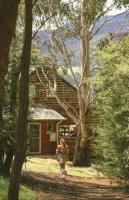 Little Olive Cabin - Ferienwohnung