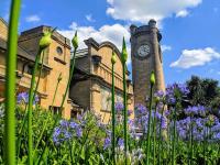 Beautiful 2BR Flat, Peaceful Dulwich, South London - Ferienwohnung