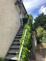 Bright & spacious first floor apartment Cambridge - B&B