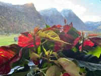 Haus Edelweiss - Ferienwohnung Obertraun