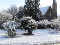 Cloverhill Gate Lodge - B&B Cloverhill