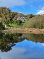 B&B Cardigan - Noyadd Trefawr - Bed and Breakfast Cardigan