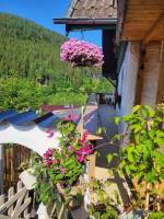 Ferienwohnung Schwarzwaldglück - B&B Baiersbronn