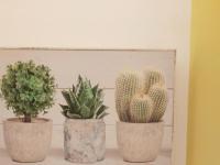 Habitación con cama extragrande y balcón