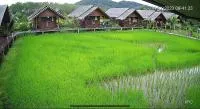 NammNatawn2 - Bed and Breakfast Chian Yai