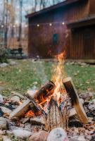 Finnwood - A Pet Friendly Woodland Retreat - Chambres d'hôtes Suttons Bay