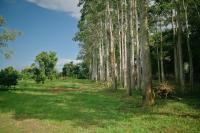 ไร่นภาดลรีสอร์ท - Chambres d'hôtes Mae Suai