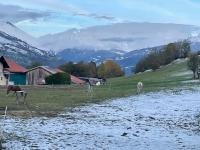 Appartement 5 personnes-1 chambre- Longefoy-Montalbert - La plagne - Bed and Breakfast