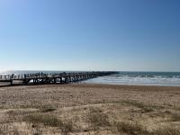 Studio - Pleine Mer - 1 avenue des Pays de Monts - 1-1 - B&B