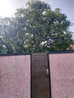 Ti Cozy baie mahaut - B&B Baie-Mahault