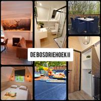 de bosdriehoek II - B&B