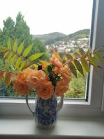 Apartments in Biedenkopf - B&B Biedenkopf