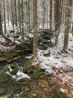 Camera Familiare con Terrazza 