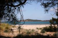 Villa Florida, 8 pers, vue montagne, 350 m plage à pieds - Ferienwohnung Pinarellu