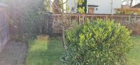 Nomadengold - B&B