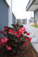 Bliss Villa - B&B Kemer