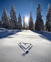 Appartamento Monolocale