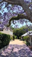B&B Bangalow - Bangalow Guesthouse - Bed and Breakfast Bangalow