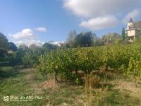 La villa - B&B Labastide-de-Lévis