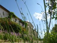 Superior Apartment - Ridolfi Giardino