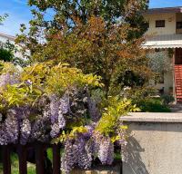 Villa Oasi - Appartamento Oderzo - B&B