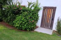 Departamento con Hermoso jardin - B&B
