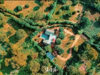 Forestville Yala - B&B Yala