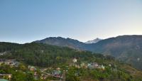 B&B Dharamsala - Hotel Nature View near Mall Road - Bed and Breakfast Dharamsala